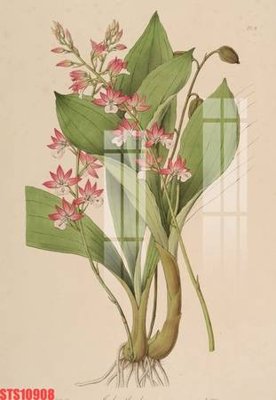 Download file Tranh sơn dầu phương tây tổng hợp STS10908 (chất lượng in ấn)