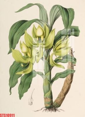 File tranh Tranh sơn dầu phương tây tổng hợp STS10911 (gốc) chủ đề thiên nhiên