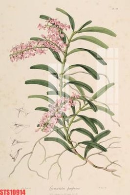 File ảnh Tranh sơn dầu phương tây tổng hợp STS10914 (gốc) in backdrop sự kiện