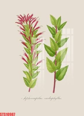 File tranh in trần Tranh sơn dầu phương tây tổng hợp STS10987 (ảnh gốc siêu nét)