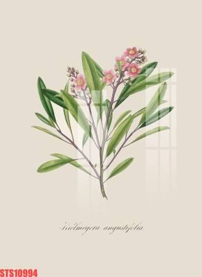 Tải file Tranh sơn dầu phương tây tổng hợp STS10994 (gốc) in ấn chất lượng