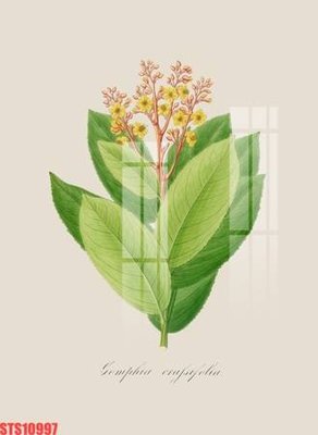 File ảnh Tranh sơn dầu phương tây tổng hợp STS10997 (gốc) trang trí khách sạn