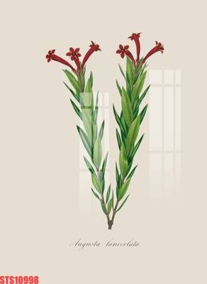 Tải file Tranh sơn dầu phương tây tổng hợp STS10998 (ảnh gốc) in tranh kính