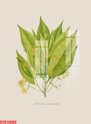 Tải file gốc Tranh sơn dầu phương tây tổng hợp STS11005 (để in lụa)