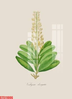 File gốc Tranh sơn dầu phương tây tổng hợp STS11006 (cho in UV) siêu nét