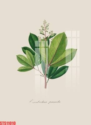 File tranh Tranh sơn dầu phương tây tổng hợp STS11010 (bản gốc) treo quán cafe