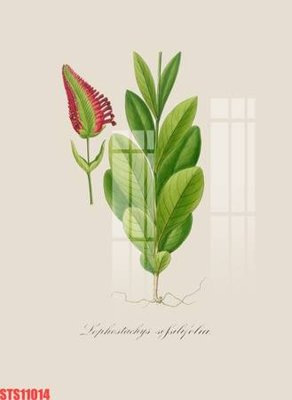 Download file Tranh sơn dầu phương tây tổng hợp STS11014 (gốc) in mica cao cấp