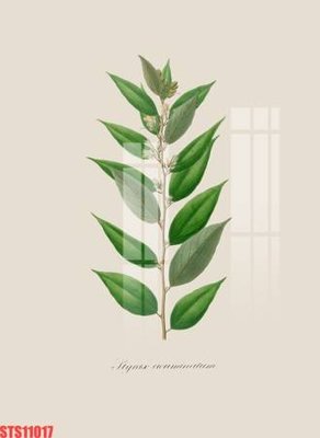 File gốc Tranh sơn dầu phương tây tổng hợp STS11017 (in ấn) màu sắc trung thực