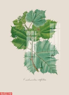 File ảnh Tranh sơn dầu phương tây tổng hợp STS11023 (gốc) cho trang trí nhà hàng