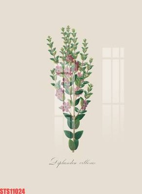 File in lụa Tranh sơn dầu phương tây tổng hợp STS11024 (tân cổ điển) Tranh sơn dầu phương tây tổng hợp STS11024