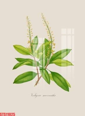 File tranh gốc in trần nhà Tranh sơn dầu phương tây tổng hợp STS11025 3D