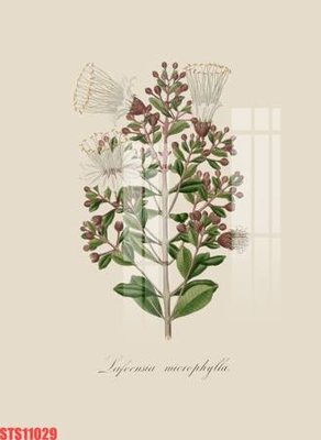 Tải file gốc Tranh sơn dầu phương tây tổng hợp STS11029 (in khổ lớn) không vỡ