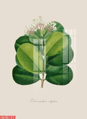 Tải file Tranh sơn dầu phương tây tổng hợp STS11030 (PSD) cho in tranh kính