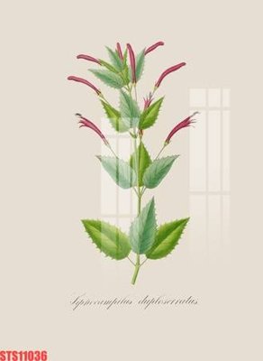 File ảnh Tranh sơn dầu phương tây tổng hợp STS11036 (gốc) in Hiflex