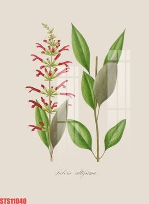 File gốc Tranh sơn dầu phương tây tổng hợp STS11040 (PNG) nền trong suốt