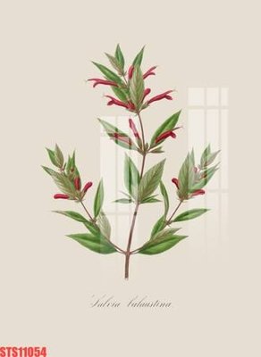 File gốc Tranh sơn dầu phương tây tổng hợp STS11054 (AI/EPS) cho in ấn