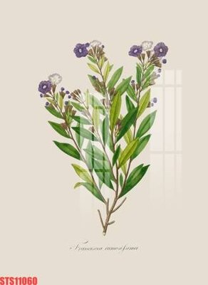 File tranh gốc Tranh sơn dầu phương tây tổng hợp STS11060 (bản quyền) file PSD