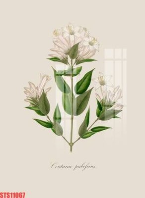 Hình ảnh file gốc in lụa Tranh sơn dầu phương tây tổng hợp STS11067