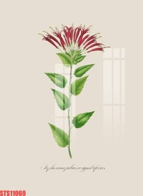 File tranh Tranh sơn dầu phương tây tổng hợp STS11069 (gốc) chủ đề tĩnh vật