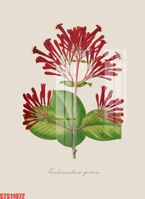 Tải file Tranh sơn dầu phương tây tổng hợp STS11072 (gốc) làm file thiết kế