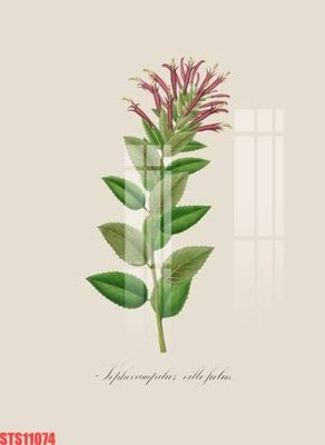 File PSD Tranh sơn dầu phương tây tổng hợp STS11074 (bản gốc) chất lượng nhất