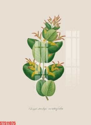 File gốc Tranh sơn dầu phương tây tổng hợp STS11075 (in lụa) chi tiết cao