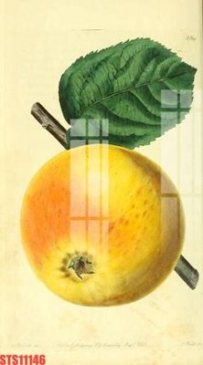 File tranh in mica Tranh sơn dầu phương tây tổng hợp STS11146 (độ phân giải cao)