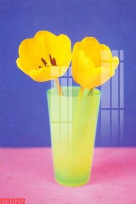 Tải file gốc Tranh sơn dầu phương tây tổng hợp STS11372 (in bạt) quảng cáo