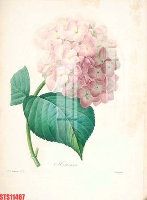 Download file gốc Tranh sơn dầu phương tây tổng hợp STS11467 (in lụa) nghệ thuật