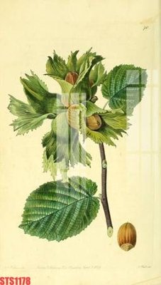 Tải file Tranh sơn dầu phương tây tổng hợp STS1178 (ảnh gốc) in gạch 3D