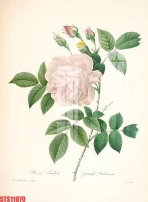 File ảnh Tranh sơn dầu phương tây tổng hợp STS11870 (gốc) in PP, decal