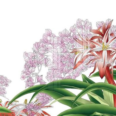 File in trần Tranh sơn dầu phương tây tổng hợp STS11923 (file gốc) phong thủy