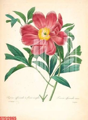 File in trần Tranh sơn dầu phương tây tổng hợp STS12065 (bản gốc) 5D