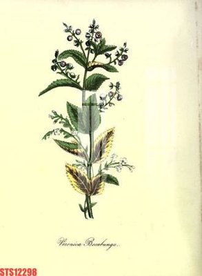 Tải file gốc Tranh sơn dầu phương tây tổng hợp STS12298 (in khổ lớn) không mờ