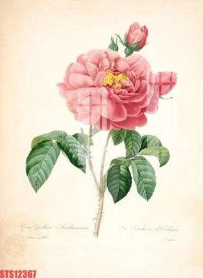 File in ấn cao cấp Tranh sơn dầu phương tây tổng hợp STS12367 (file gốc)