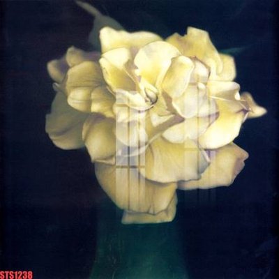 Tệp tin gốc Tranh sơn dầu phương tây tổng hợp STS1238 (dùng cho in ấn) chuyên nghiệp