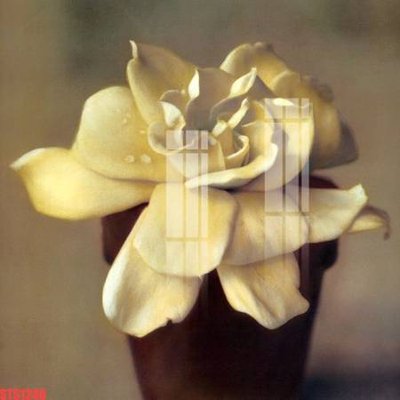 File gốc in mica Tranh sơn dầu phương tây tổng hợp STS1240 chất lượng