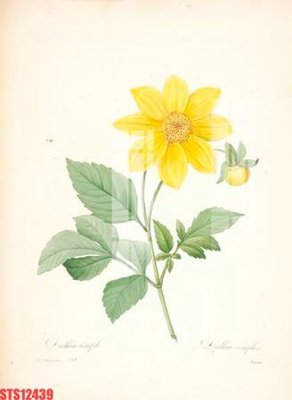 File gốc Tranh sơn dầu phương tây tổng hợp STS12439 (trang trí) phòng ngủ