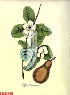 File tranh Tranh sơn dầu phương tây tổng hợp STS12505 (ảnh gốc) sắc nét hoàn hảo