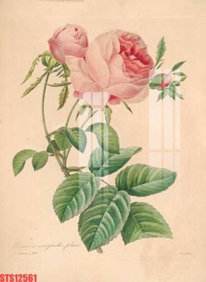 File gốc Tranh sơn dầu phương tây tổng hợp STS12561 (in ấn) không giới hạn