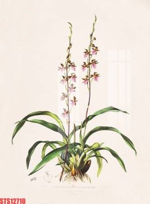 Download file gốc Tranh sơn dầu phương tây tổng hợp STS12710 (in mica) logo