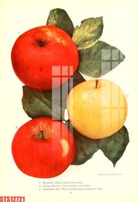 File tranh Tranh sơn dầu phương tây tổng hợp STS12721 (ảnh gốc) chi tiết rõ ràng