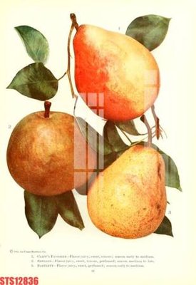 File gốc Tranh sơn dầu phương tây tổng hợp STS12836 (dành cho quảng cáo)