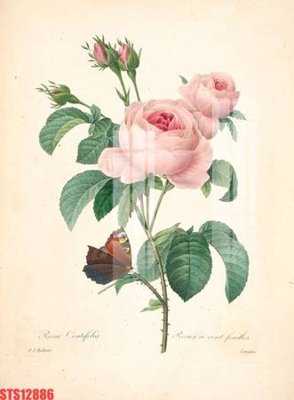 Tải file gốc Tranh sơn dầu phương tây tổng hợp STS12886 (in tráng gương) 5DFile gốc Tranh sơn dầu phương tây tổng hợp STS12886 (in ấn) phiên bản premium