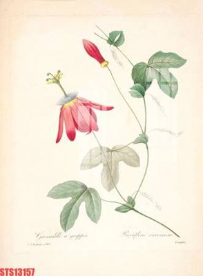 File tranh trang trí Tranh sơn dầu phương tây tổng hợp STS13157 (tải file gốc)