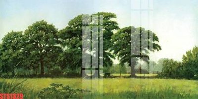 File gốc in ấn Tranh sơn dầu phương tây tổng hợp STS1329 chuẩn màu CMYK