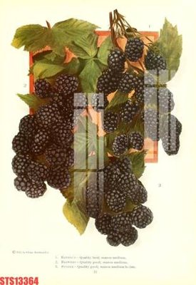 File ảnh Tranh sơn dầu phương tây tổng hợp STS13364 (gốc) in backdrop sự kiện