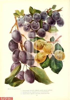 Ảnh mô tả file gốc in mica Tranh sơn dầu phương tây tổng hợp STS13720