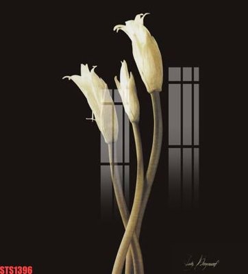 Tải file PSD Tranh sơn dầu phương tây tổng hợp STS1396 (nguyên layer) để in