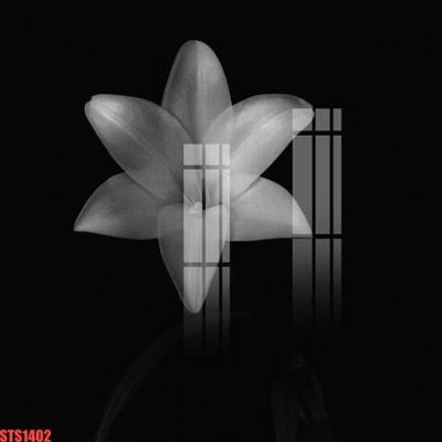 File in trần Tranh sơn dầu phương tây tổng hợp STS1402 (bản gốc) 5D